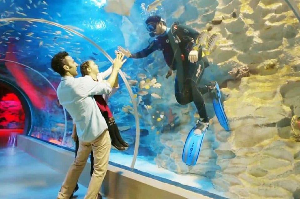 Istanbul Aquarium and Aqua Florya Shopping Mall Tour - Sharks, stingrays, piranhas, and the Penguin Area