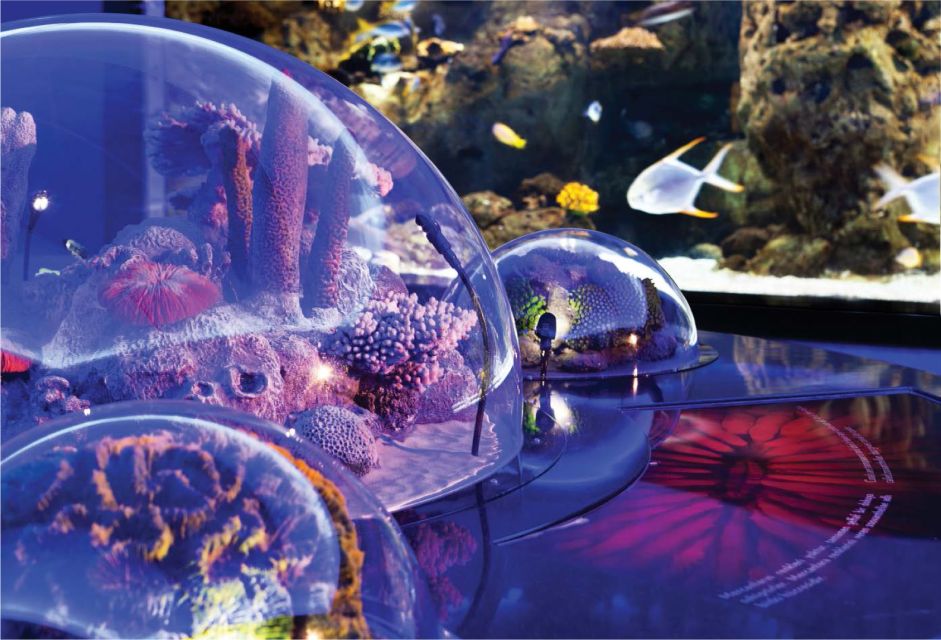 Istanbul Aquarium and Aqua Florya Shopping Mall Tour - When this tour is the best fit (and when it isn’t)