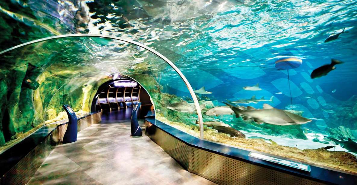 Istanbul Aquarium and Aqua Florya Shopping Mall Tour - From Black Sea to Pacific: 16 themed zones and 1,500+ species