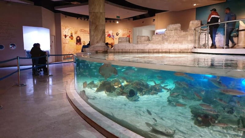 Istanbul: Aquarium Ticket and Round Trip Shuttle from Taksim - Who This Aquarium Day Is Best For