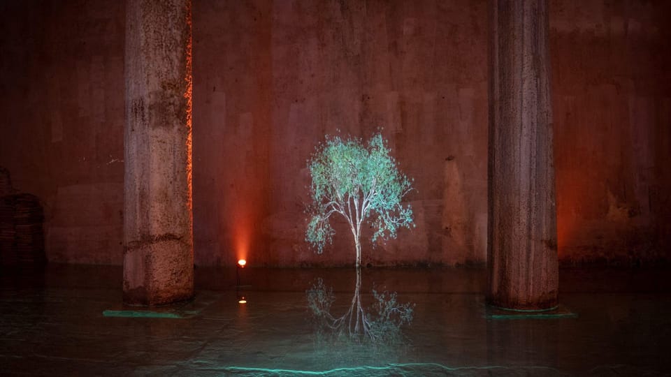 Istanbul: Basilica Cistern Skip-the-Ticket-Line Guided Tour - Illuminated Columns: How the Lighting Shapes the Experience