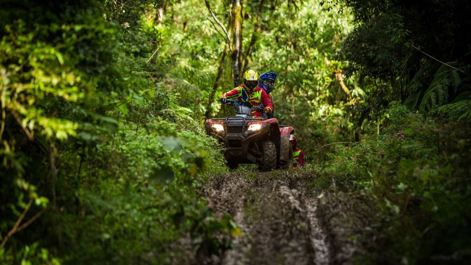Istanbul: Belgrad Forest ATV Tour with Ziplining Option - Getting From Sultanahmet or Taksim to Belgrad Forest