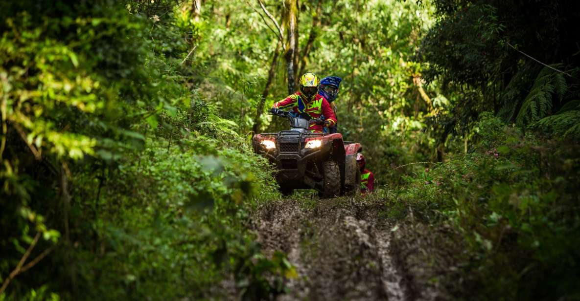 Istanbul: Belgrad Forest ATV Tour with Ziplining Option - The Real Action: What the Belgrad Forest Tracks Feel Like