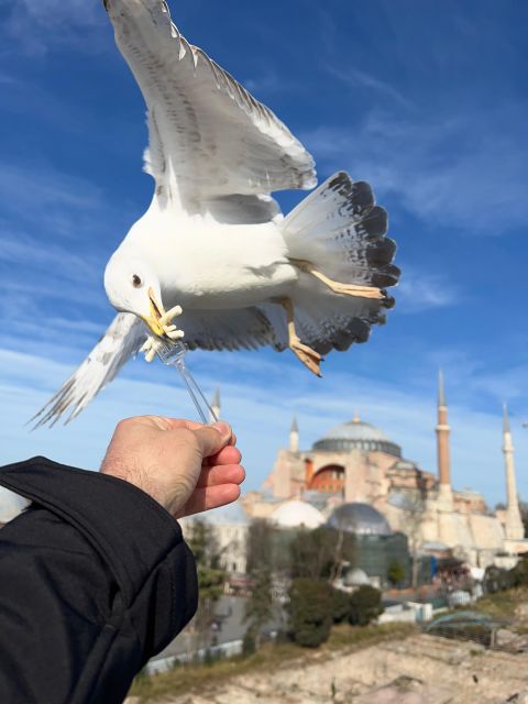 Istanbul: Best of The City Full-Day Tour with Transfers - Sultan Ahmed Mosque (Blue Mosque): The Interior Blue Tile Effect