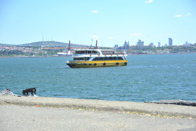 Istanbul: Bosphorus and Golden Horn Cruise with Audio Guide - Beylerbeyi Palace and Maiden’s Tower on the Asian side