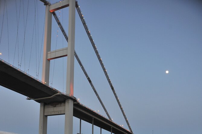 Istanbul: Bosphorus and Golden Horn Cruise with Audio Guide - Crowds, boarding, and the “sell mode” you may face