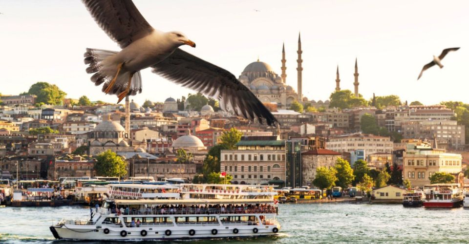 Istanbul: Bosphorus And Golden Horn Morning or Sunset Cruise - Galata Bridge and Galata Tower views: city energy in one sweep