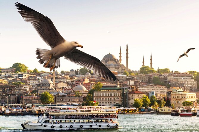 Istanbul Bosphorus Boat Tour and Golden Horn Cruise Day or Sunset - A Bosphorus cruise built for first-timers (and busy schedules)