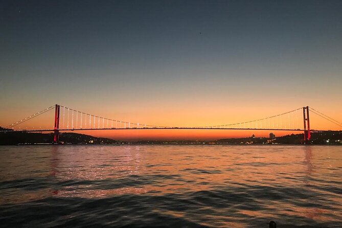 Istanbul Bosphorus Dinner Cruise and Turkish Night Show - Who This Cruise Is For (And Who Should Skip It)