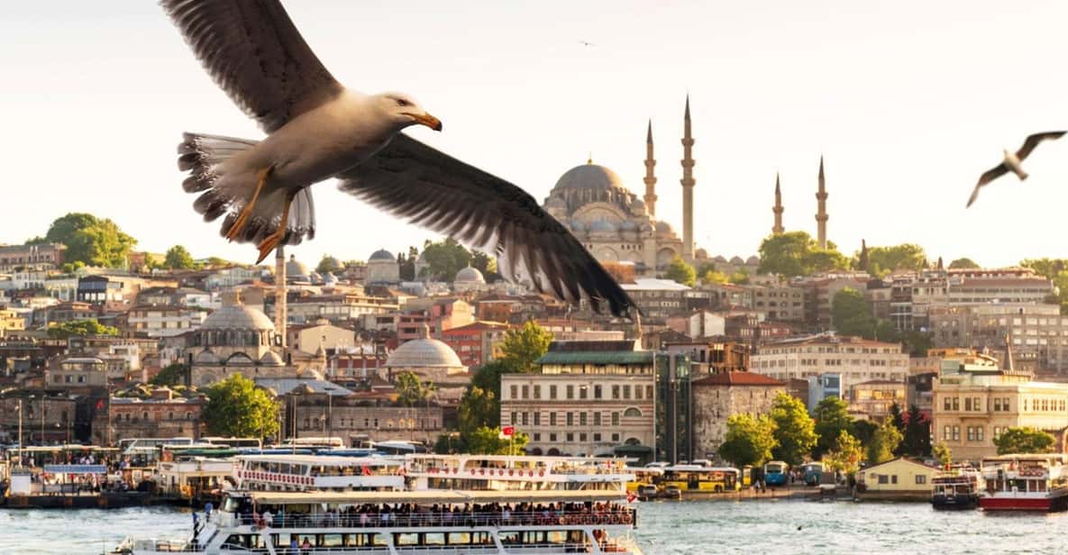 Istanbul: Bosphorus Dinner Cruise with Private Table & Show - Getting On Board: Pickup, Harbor Meet-Up, and Best Timing