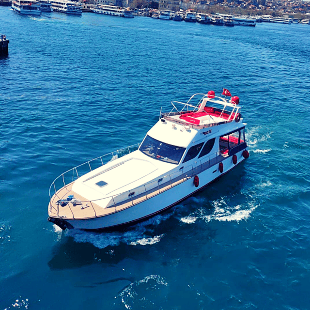 İstanbul: Bosphorus Private Yacht Cruise with Tea and Coffee - Tea, Coffee, and Bringing Your Own Food: A Comfort Win