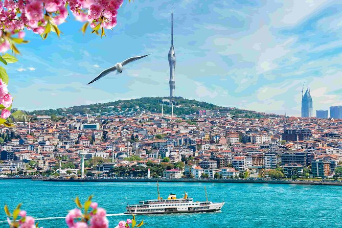 Istanbul Camlica Tower: Private Entry, Transfer & Dine Choices - Logistics to watch: tickets and the cost of getting there
