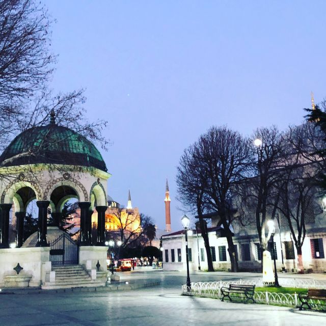 Istanbul: City Highlights Group Tour with Hagia Sophia Entry - Why this Istanbul highlights tour makes sense in just 4 hours