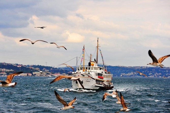 Istanbul Classics and Bosphorus Cruise Private Tour - Bosphorus ferry cruise: the skyline view you can’t fake