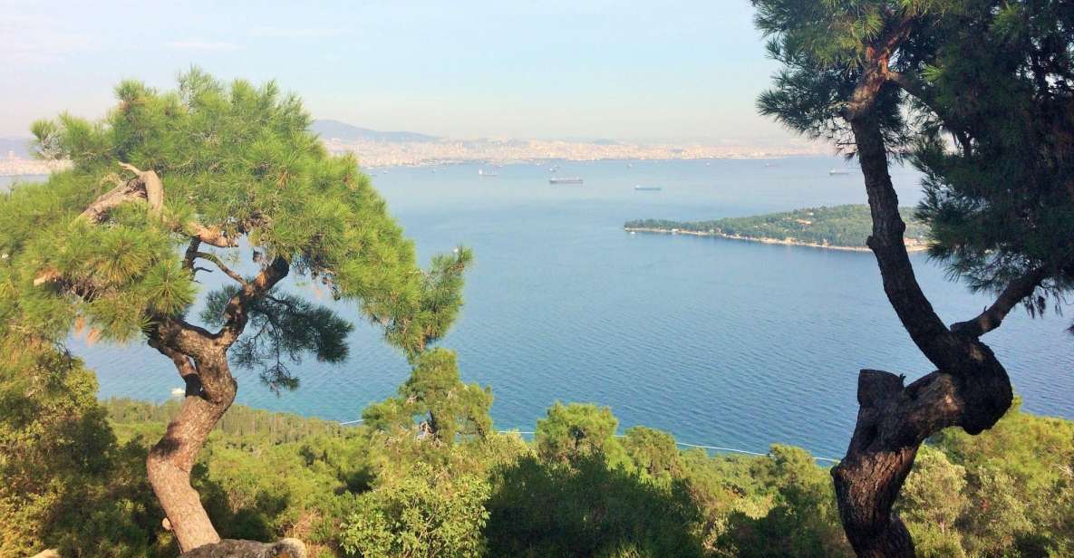 Istanbul: Day Trip to the Princes' Islands - The walking tour on Büyükada: bay views and summer-house scenery