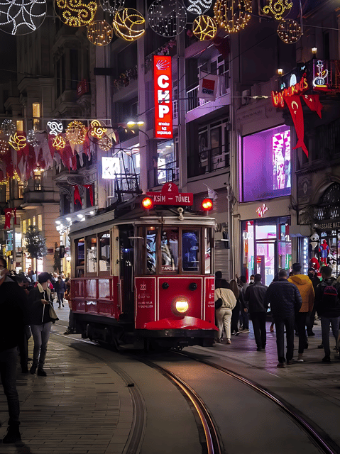 Istanbul: Exclusive Istanbul Night Tour with Private VIP Car - Why a private VIP car is smart for Istanbul nights