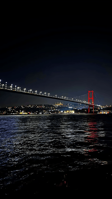 Istanbul: Exclusive Istanbul Night Tour with Private VIP Car - Sultanahmet’s mosques after dark: where the atmosphere does the talking