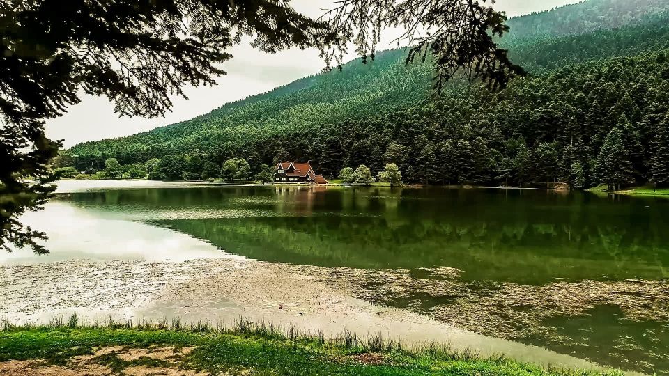 Istanbul: Full-Day Sapanca Lake and Masukiye Tour with Lunch - Key Points at a Glance