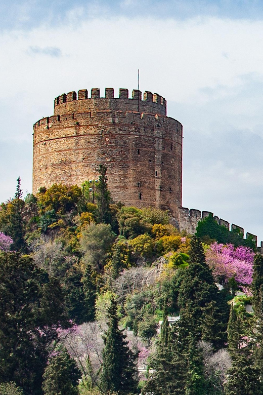 Istanbul: Morning or Sunset Cruise with Guide and Snacks - Key highlights you should care about