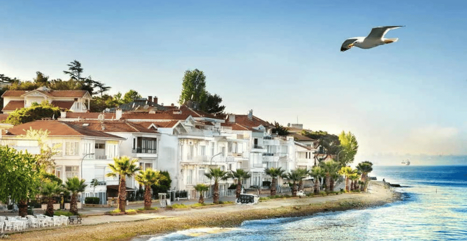 Istanbul: Princes Islands Tour with Heybeliada and Buyukada - Büyükada Mansions and Electric Car Options (Plus a Real Swimming Reality Check)