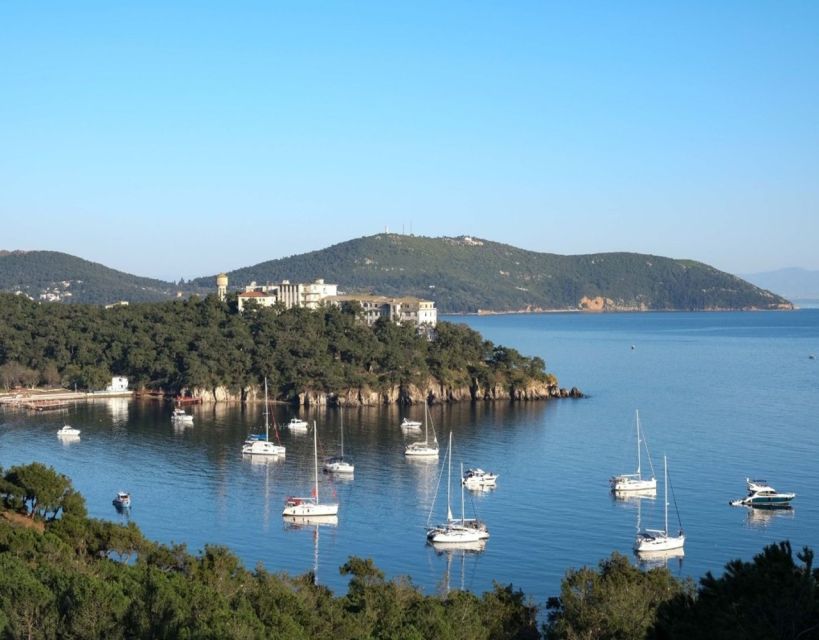 Istanbul: Princes' Islands Tour with Lunch and Transfers - The quick shopping stop and the leather fashion show detour