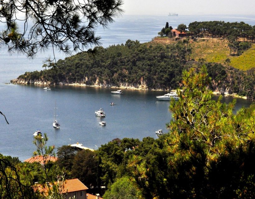 Istanbul: Princes' Islands Tour with Lunch and Transfers - Guides, language, and the onboard energy