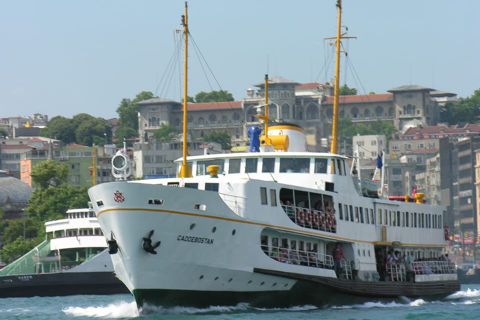 Istanbul: Princes Islands Walking Full-Day Tour - Who should book this Princes’ Islands walking day