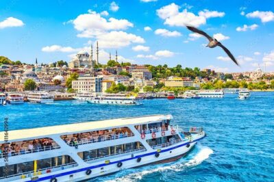 İstanbul Private Arrival Transfer - Timing and Waiting: Plan for Real Arrivals