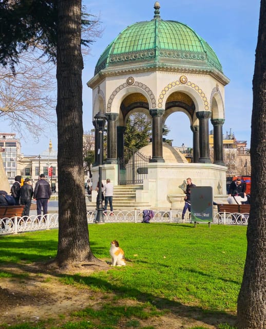 Istanbul Private City Tour By Art Historian - Avoiding the Usual Tourist Traps in the Old City