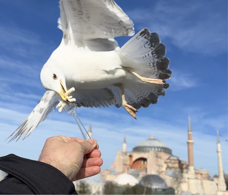 Istanbul: Private City Tour with Transportation - Serpent Column, German Fountain, and the Obelisks: How Sultanahmet Becomes a Timeline