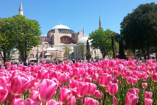 Istanbul Private Tours: 1, 2 or 3 Day Highlights - Galata, Taksim, and Istiklal: A Quick Hit of Modern Istanbul