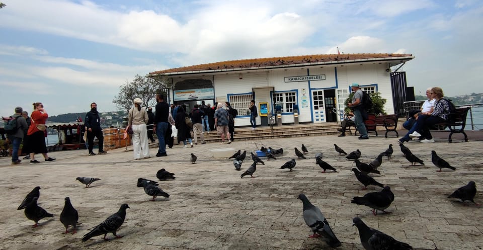 Istanbul Revealed: Historic Pathways and Bosphorus Serenity - Golden Horn and Galata area passes: viewpoints without the ticket headache