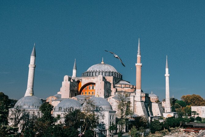 Istanbul Shore Excursion by TRAM: Half Day Private Tour from Port - Price and Tickets: Is $110 a Good Deal for Istanbul’s Top Stops?