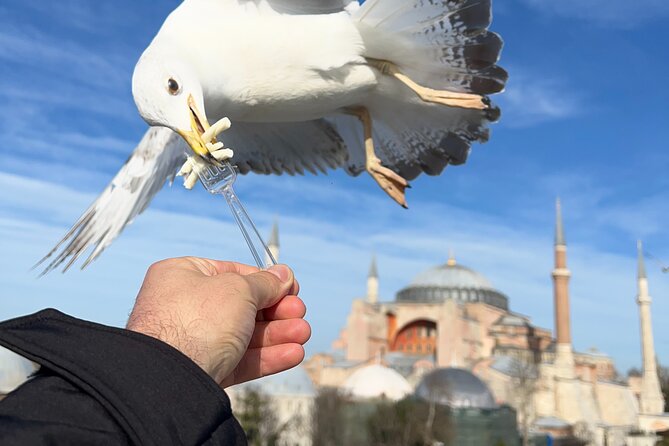 Multi 2 Days Private Guided Istanbul Iconic Landmarks City Tour - Grand Bazaar: shopping with history in the background