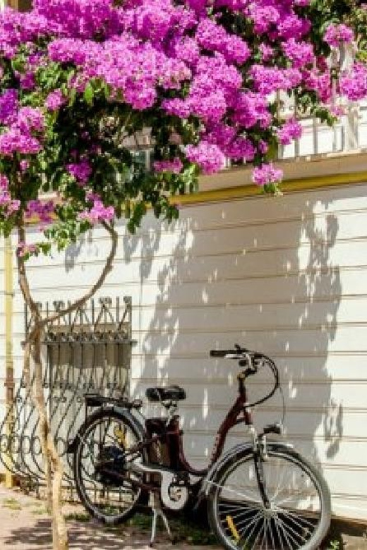 Prince's Island Group Tour - Key highlights to know before you go