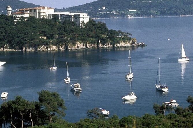 Princes Islands Tour WITH Private Boat, optional Pickup & Lunch - Büyükada: your longest stop on the car-free main prize