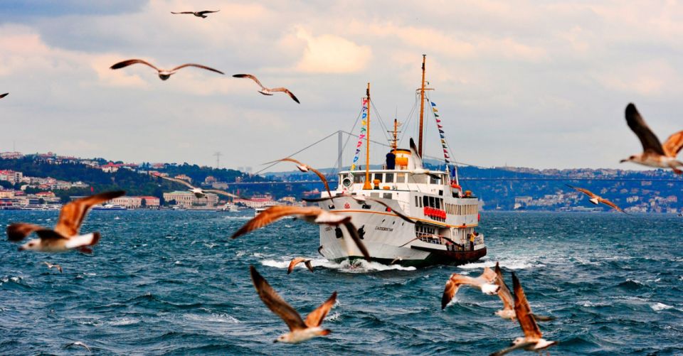 Private Bosphorus Sightseeing Cruise By Luxury Yacht - Included Perks: Wi-Fi, Drinks, and Optional Guides