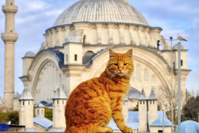 Private Cultural Tour of Istanbul: 1 or 2-Day Tailored Experience - Key highlights worth planning for