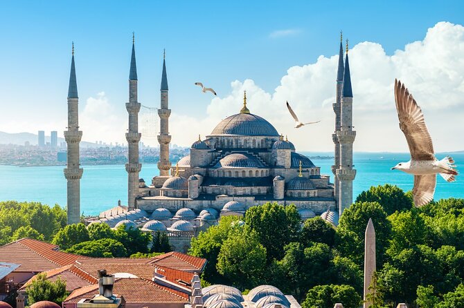 Private Cultural Tour of Istanbul: 1 or 2-Day Tailored Experience - Logistics in plain terms: meeting point and pacing