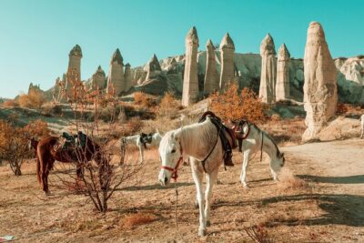 Private Day Trip to Cappadocia from Istanbul - Uchisar Castle Viewpoint: Your Cappadocia Orientation in 20 Minutes