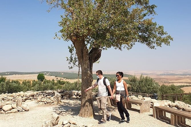 Private Göbeklitepe Tour from Istanbul - Price and value: what $849 buys, and what still costs extra