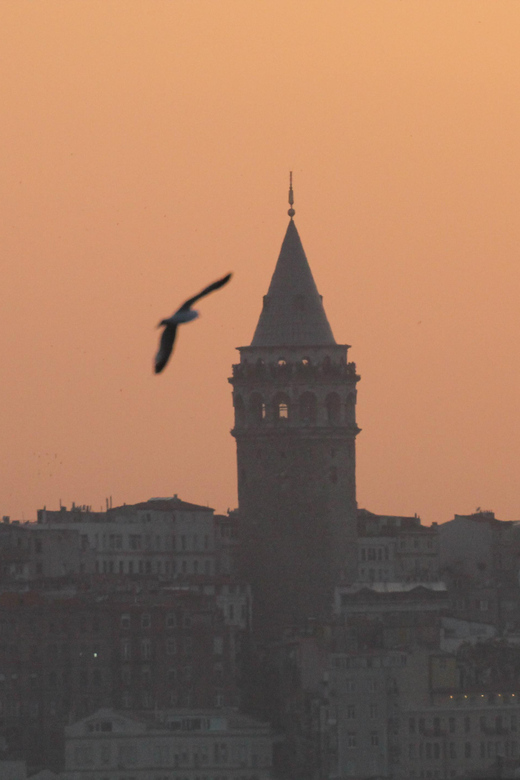 Private Guide in Istanbul Old City - Grand Bazaar: Make It Work for You, Not Against You