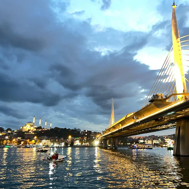 Private Guided Istanbul City Tour with Transfers - Price and value: what $156 gets you for a private day