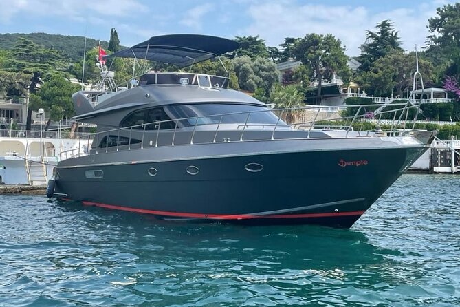 Private Istanbul Bosphorus Yacht Cruise - Your 2-hour cruise flow: what happens once you’re on board