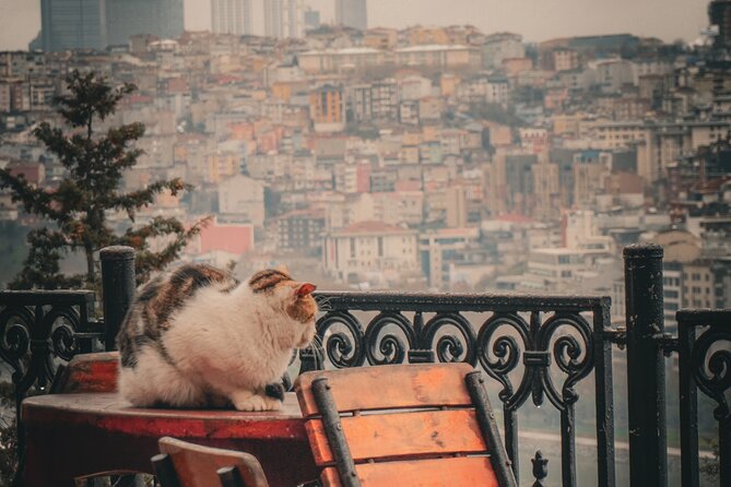 Private Istanbul Highlights Tour: 1, 2, or 3-Day Options - Day 2: Bosphorus Bridge, Dolmabahçe, and two different kinds of Istanbul