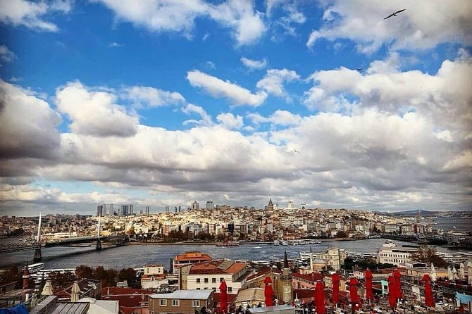 Prıvate Istanbul Tour by Luxury Minivan and Licensed Guide - Crossing Europe to Asia: the bridge moment you shouldn’t skip