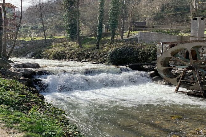 Sapanca Full Day Tour with Lunch - Sakarya travel time and the free Turkish delight factory tasting
