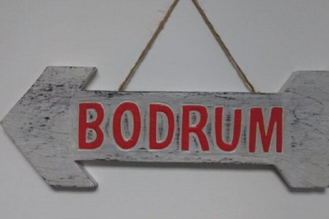 With Minivan Istanbul to Capadocia Bodrum Izmir - English-Speaking Driver Support: More Than Directions